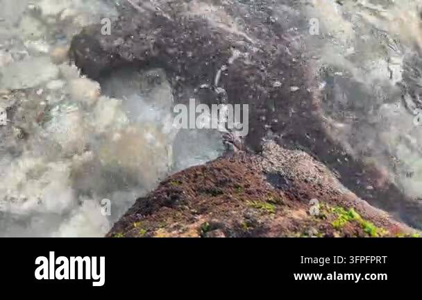 Image For Rocks Clear water flows over rough, moss-covered rocks. Waves break gently ...