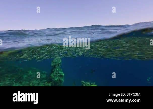 Wave Refraction Model A split-level view shows clear turquoise seawater beneath a gently ...