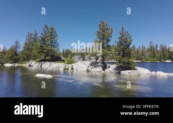 Water Tree Clear water reflecting trees and rocks Stock Video Footage - Alamy