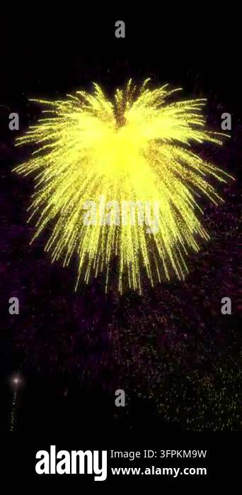 Animation of colourful christmas and new year fireworks exploding in ...