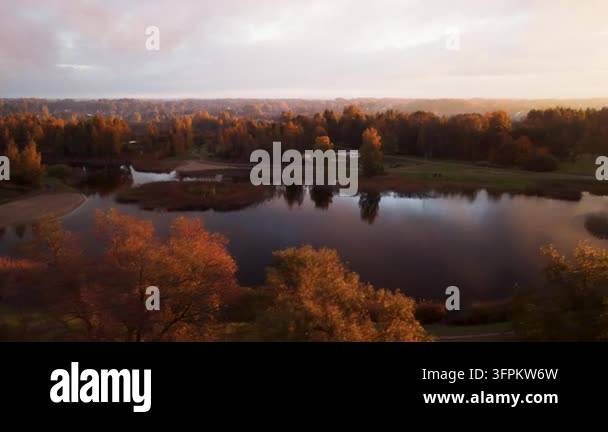 Aerial drone footage captures golden autumn forest reflecting in calm ...