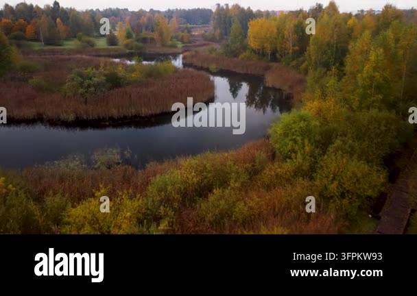 Aerial drone footage captures golden autumn forest reflecting in calm ...