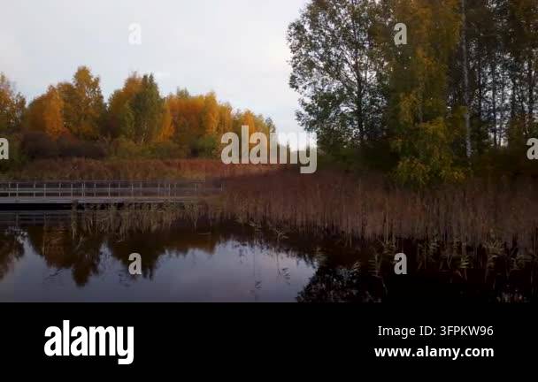 Wooden boardwalk bridge crossing calm autumn lake surrounded by golden ...