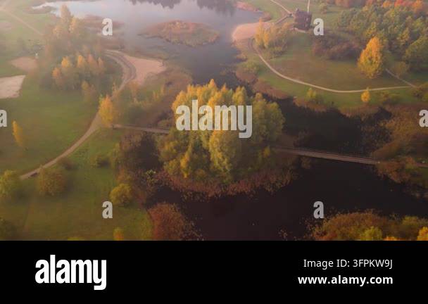 Aerial drone footage captures golden autumn forest reflecting in calm ...