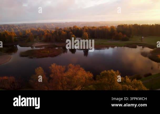 Aerial drone footage captures golden autumn forest reflecting in calm ...