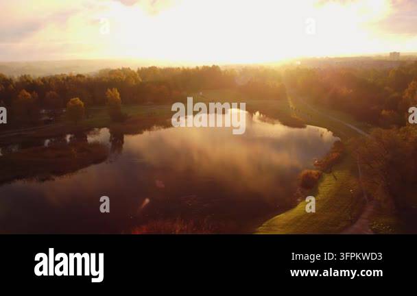 Aerial drone footage captures golden autumn forest reflecting in calm ...