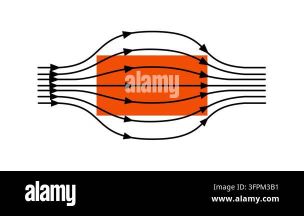 An orange oval core marked with horizontal lines and surrounded by ...