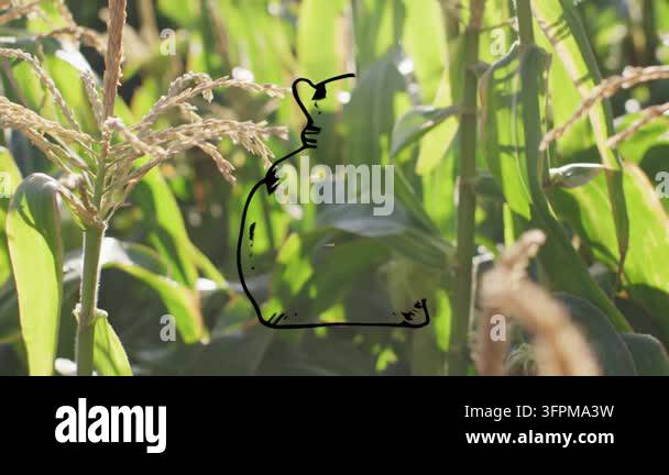 Overlay Html Over Video Sketch stroke appearing over central stalk, drawing money-bag morphing ...
