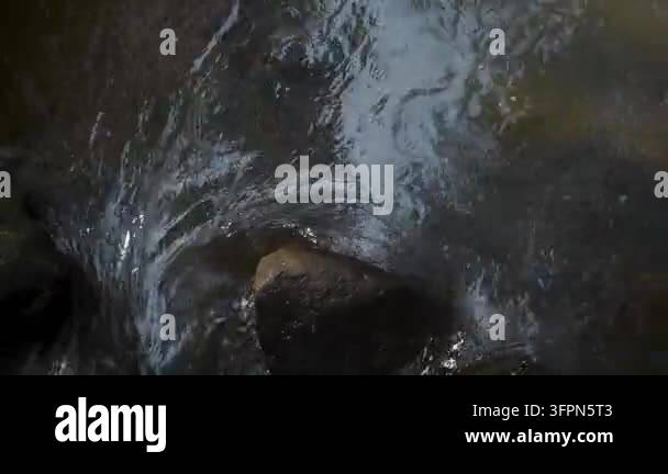 Islander Patternz Rushing river water cascades over dark rocks and stones in a mountain ...
