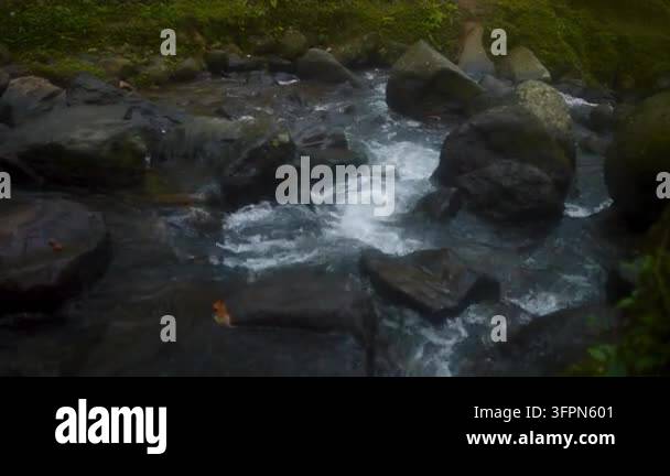 The Isle Rocks Mountain stream flows rapidly between dark rocks in a lush forest on ...