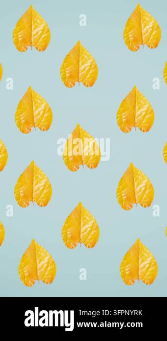 Autaum Patterns Animation of rows of autumn yellow leaves on blue background. autumn ...