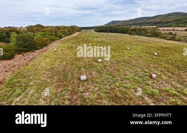 A wide field shows rolled hay bales scattered across the grass. Trees ...