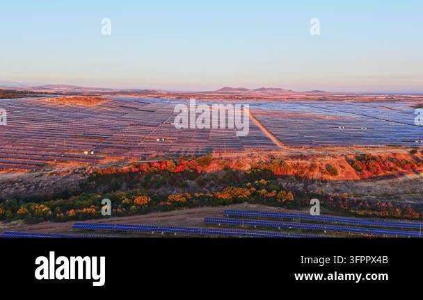 Large Area Rows of solar panels cover a large area at sunset. The light reflects ...
