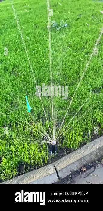 A garden sprinkler operates in a residential yard. Water sprays out in ...