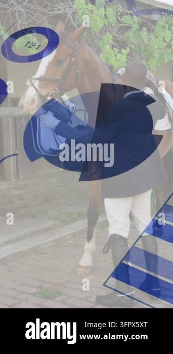 Vector For Riders Vertical video: Rider handling tack by stall activating blue stripes ...