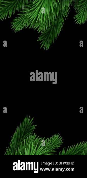 Animation of christmas bauble decorations over fir tree branches ...