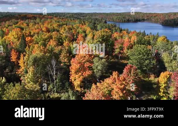 Aerial drone footage reveals a scenic recreational lake bordered by ...