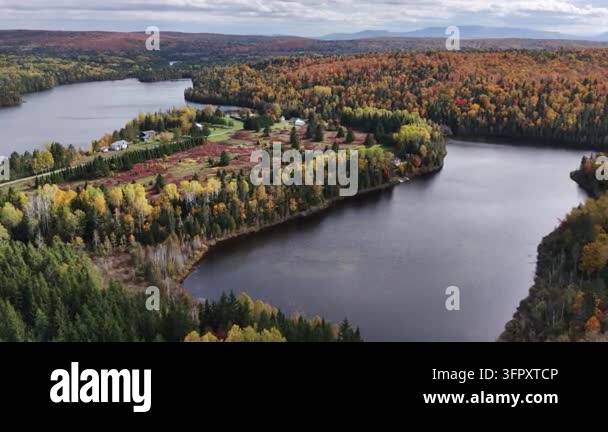 Aerial footage of a small estate between Lake Arthur and Edouard Lake ...