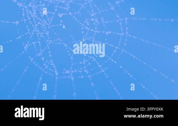 Close-up of a spider web with dewdrops glistening against a blue ...