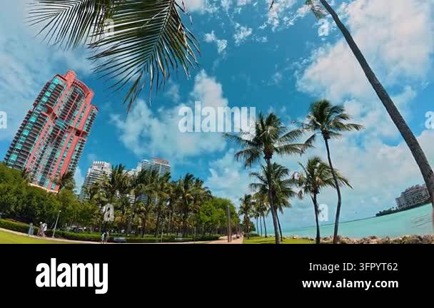 Palm tree canopy against blue sky and building in Miami. Upward shot of ...
