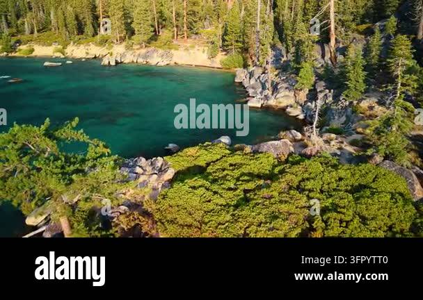 Conifer forest above a rocky inlet at Lake Tahoe. Trees grow between ...