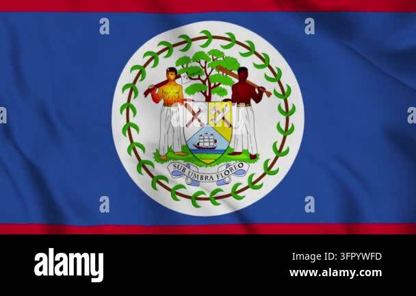 Comp Animated Background Belize flag waving fabric background. 3D animation Stock Video Footage ...