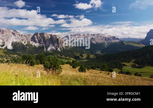 Slow lateral tracking move across a sunny alpine meadow with grass ...
