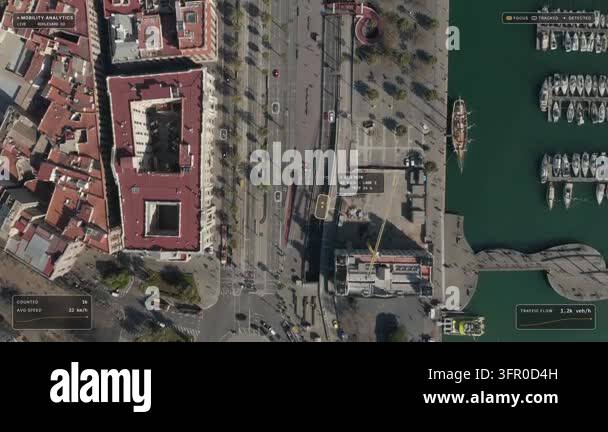 Top down aerial view of Barcelona: cars on palm lined Passeig de Colom ...