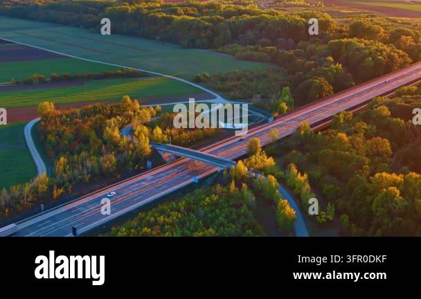 Highway bridge over forest in warm evening light. High angle view shows ...