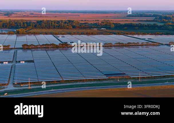 Solar panel arrays, aerial view beside farmland and a roadside tree ...