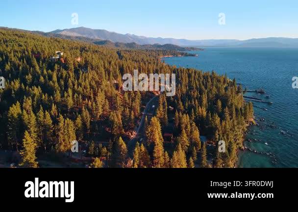 Forest slopes extend along the shore of Lake Tahoe. Green and gold ...