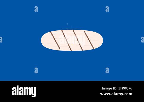 Sizzling Grilled Fish Fillet Animation - Detailed Flaky Texture 2D Flat ...