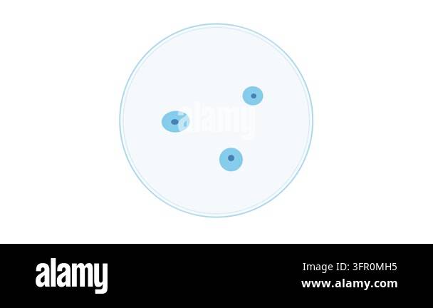 Microscopic Cell Division in Translucent Blue Petri Dish Biotech ...