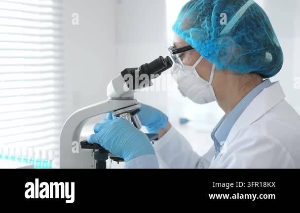 Female researcher examining sample through microscope, conducting ...