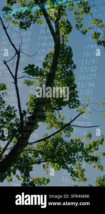 Vertical video: Deciduous canopy tilting after ERROR overlay fading in ...