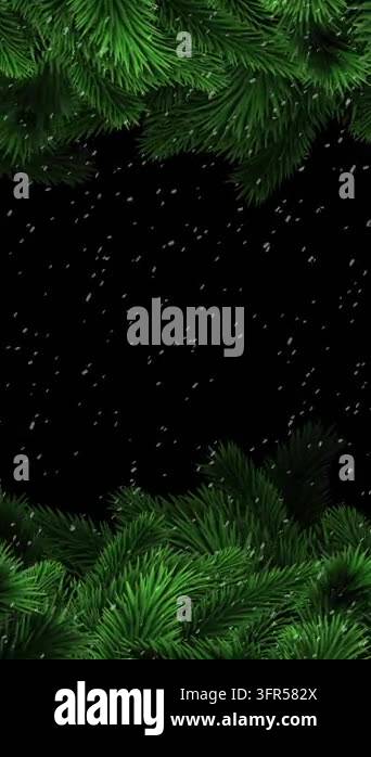 Animation of christmas tree branches over snow falling background ...