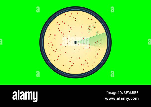 Automated Microbiological Colony Counter Petri Dish Scanner for ...