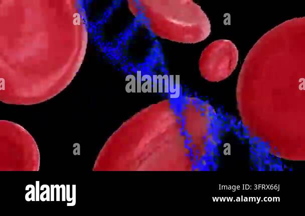 Incoming blue dots condensing into ribbon and threading through red ...