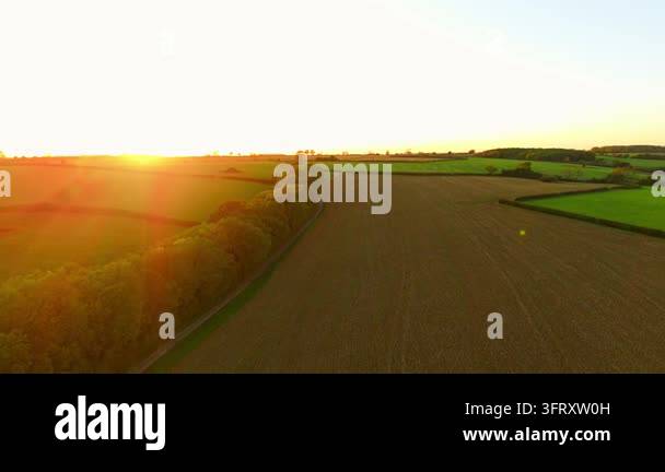 Low Line Cultivated field beside tree line under low evening sun. Brown ...