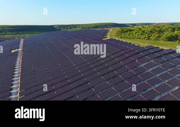 Rows of solar panels cover a large area in a rural setting under clear ...