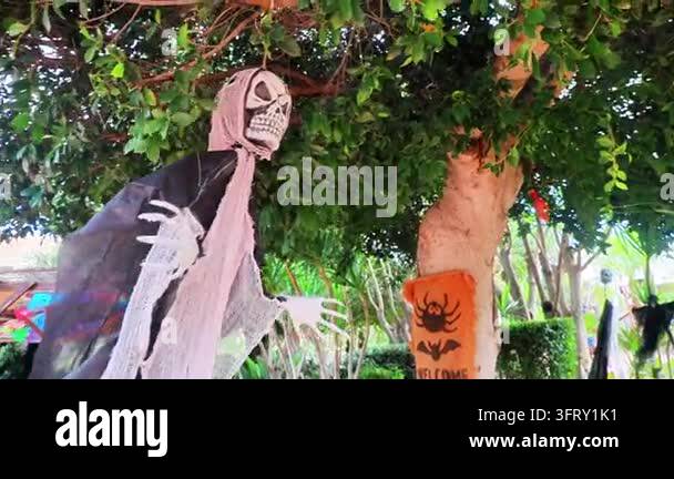 Benidorm, Spain - October 26, 2024: Halloween skeleton decoration with ...