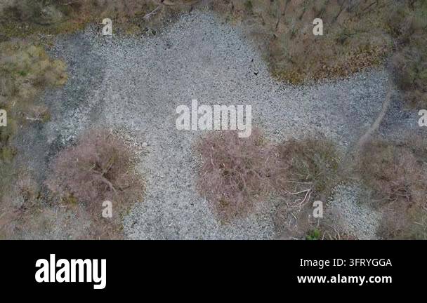 Surface Texture Graphics Gravel surface surrounded by sparse vegetation Stock Video Footage - Alamy