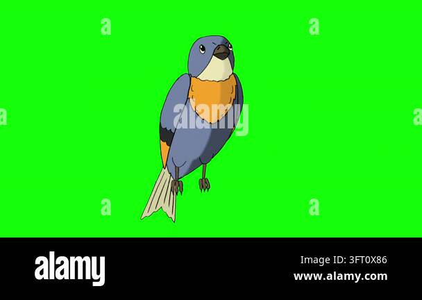 2D cartoon animated little blue bird sitting, looking around, and ...
