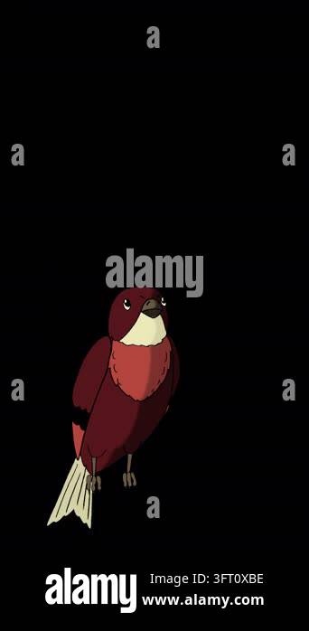 2D cartoon animated little brown bird sitting, looking around, and ...