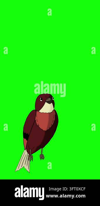 2D cartoon animated little brown bird sitting, looking around, and ...