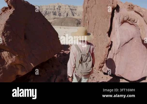 A woman with a backpack walking in the desert. Trekking and hiking in ...