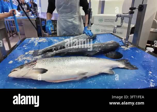 Dubai, UAE - September 30, 2026 - Interior view of fresh seafood, fish ...