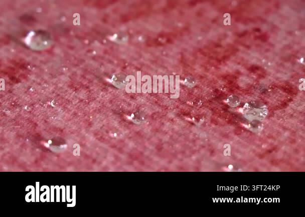 Surface Texture Graphics Small rounded water droplets gathered across a textured carpet surface ...