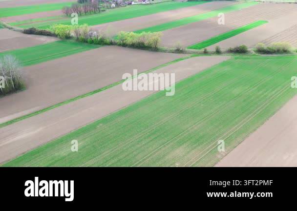 Aerial Spring Blossoming hedgerow cuts diagonally across striped green and brown ...