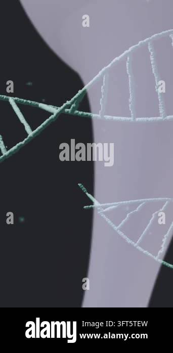 Animation of dna strand over molecules. Global business and digital ...